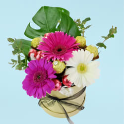 True Delight Arrangement  - Standard