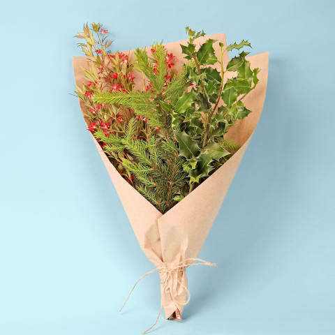 Festive Foliage  - Standard 0