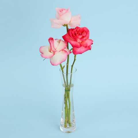 Romantic Reflexed Rose Vase - Standard 0