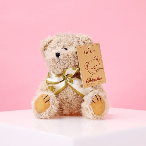 William Teddy Bear - Standard 2