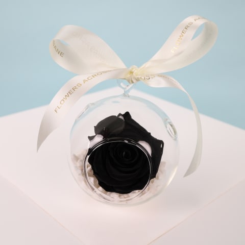Preserved Orb - Standard 0