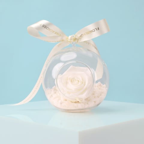 Preserved White Rose Orb - Standard 0