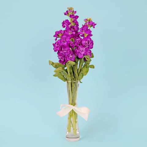 Stock Serenade Bud Vase  - Standard 0