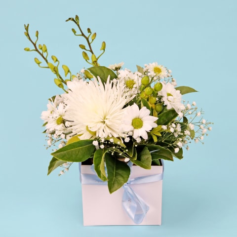 Florist Choice White Mini Box  - Standard 0