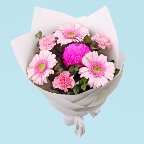 Pink Appreciation Blooms  - Standard 0