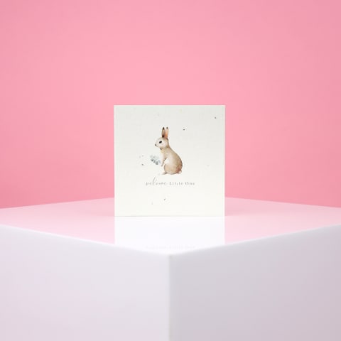 Little One Plantable Greeting Card - Standard 1