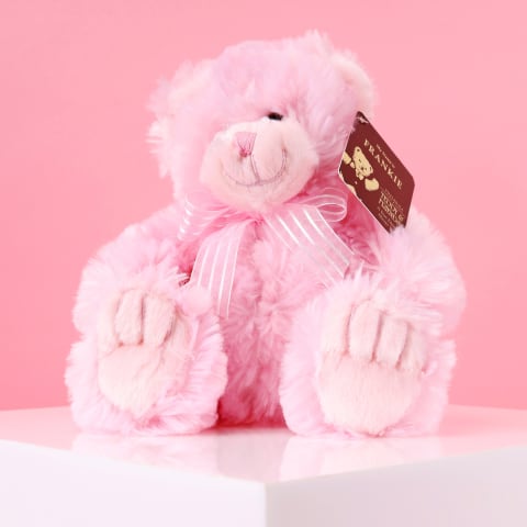 Frankie Pink  Bear - Standard 1