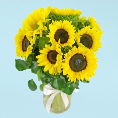 Sunflowers In A Vase  - Standard 0