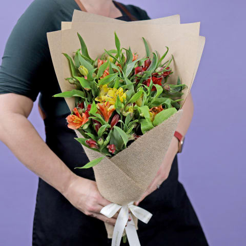 Tropical Breeze - Standard 1