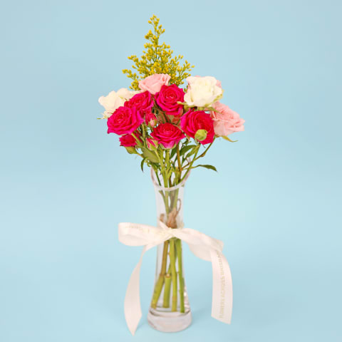 Petite Garden Roses - Standard 0