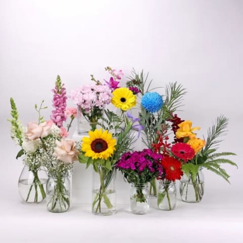 Surprise Mixed Party Vases  - Standard 0