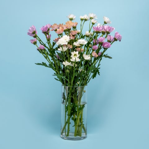 Chrysanthemum Vase  - Standard 0