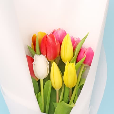 Tulip Bouquet  - Standard 1