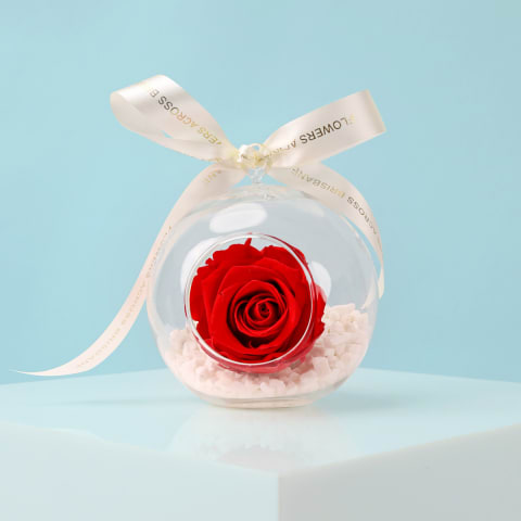 Preserved Red Rose Orb - Standard 0