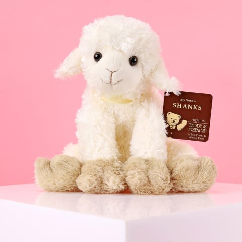 Shanks The Lamb - Standard 1