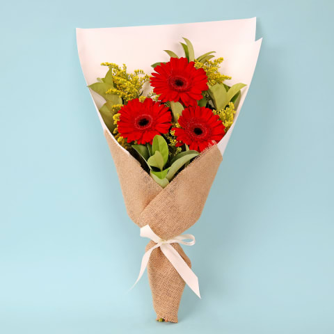 Gallant Gerberas - Standard 0