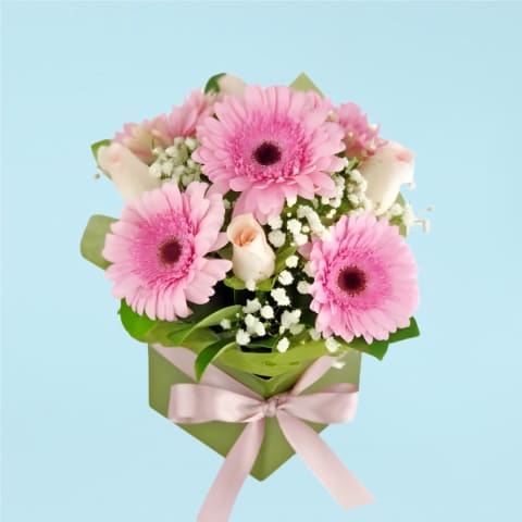 Pretty In Pink  - Standard 0