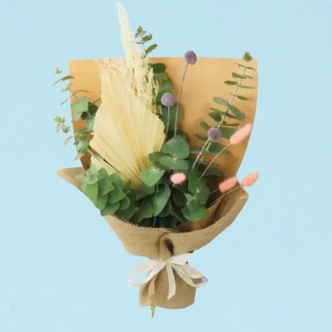 Soft-Hued Natives - Standard 0