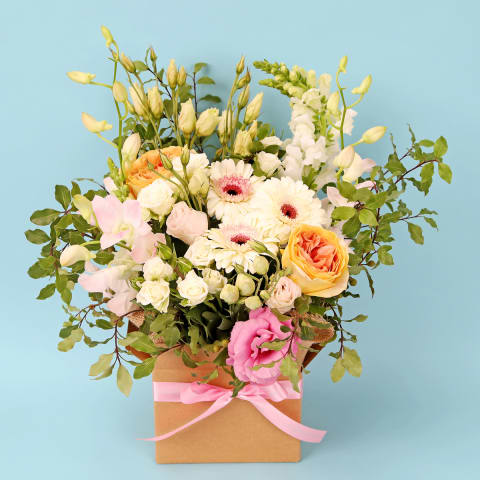 Pawsitively Pastel Bloombox - Deluxe 0
