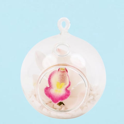 White Orchid Orb  - Standard 0