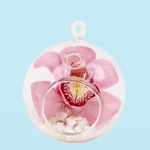 Orchid Orb - Standard 0