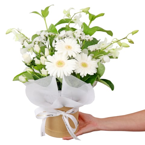 Paw-Friendly Blossom Box - Standard 2