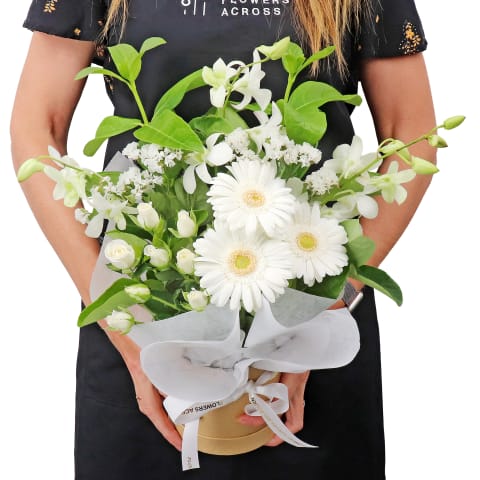 Paw-Friendly Blossom Box - Standard 1
