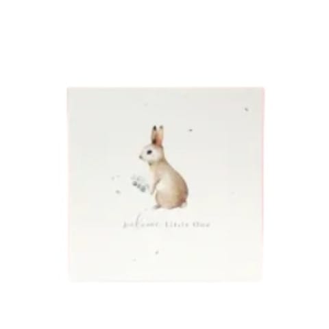 Little One Plantable Greeting Card - Standard 0