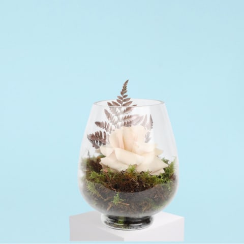 Enchanting - Standard 0