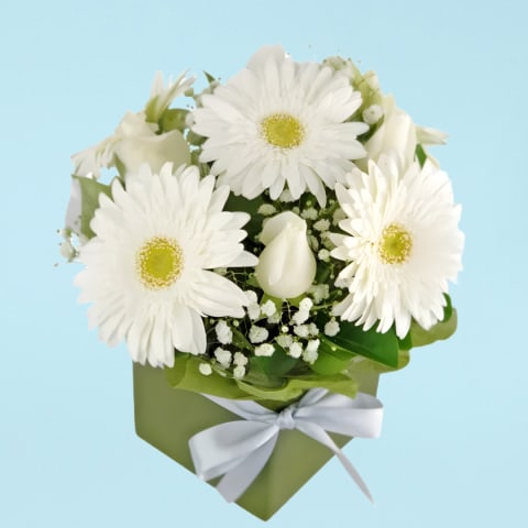 Pretty In White  - Standard 0