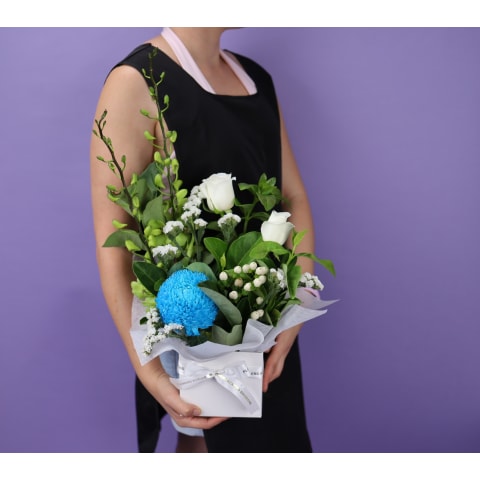 Sapphire Bloombox - Standard 1