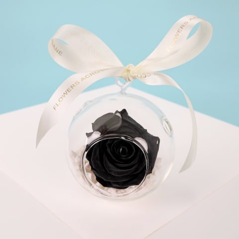 Preserved Black Rose Orb  - Standard 0