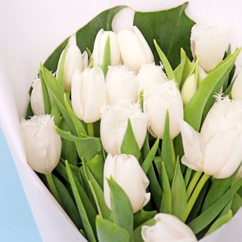 White Tulip Bunch - Deluxe 1