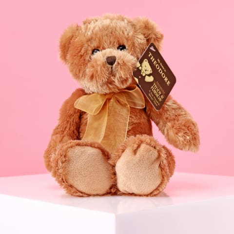 Theodore - Teddy & Friends  - Standard 1