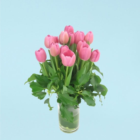 Tulip Vase  - Standard