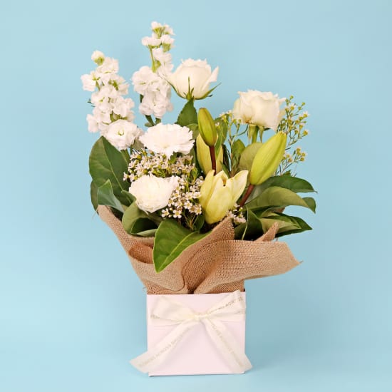 Gentle Solace Bloombox  - Standard