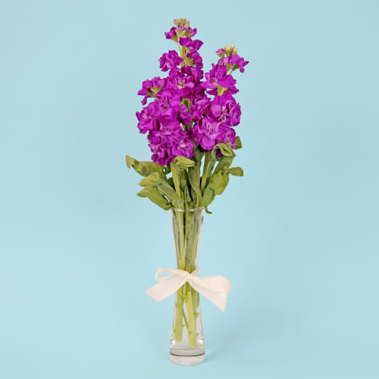 Stock Serenade Bud Vase  - Standard