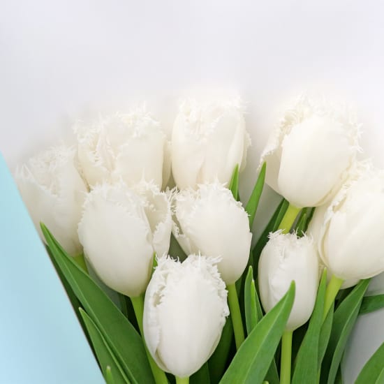 White Tulip Bunch - Standard