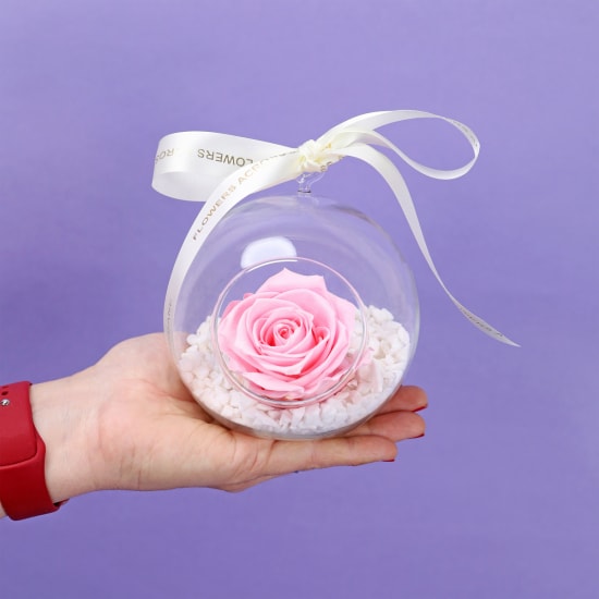 Preserved Pink Rose Orb - Standard