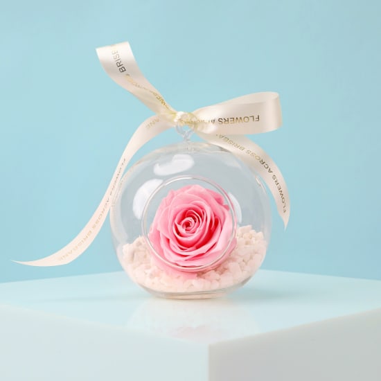 Preserved Pink Rose Orb - Standard