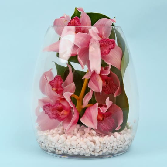 Beauty Beheld Vase  - Standard