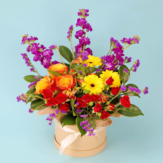 Whisker-Friendly Blooms - Standard