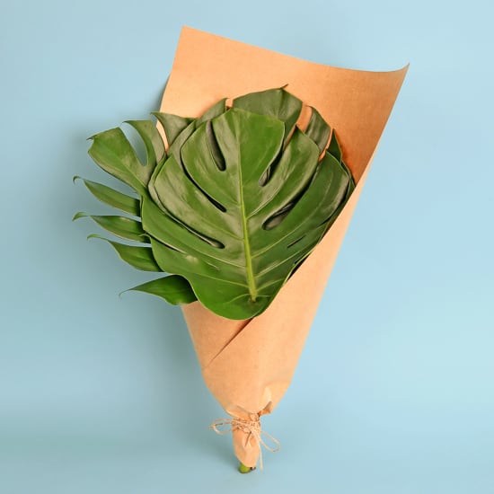 Market Bunch - Monstera Leaves - Standard