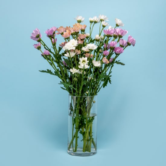 Chrysanthemum Vase  - Standard