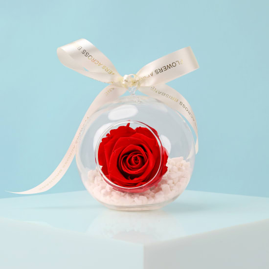 Preserved Red Rose Orb - Standard