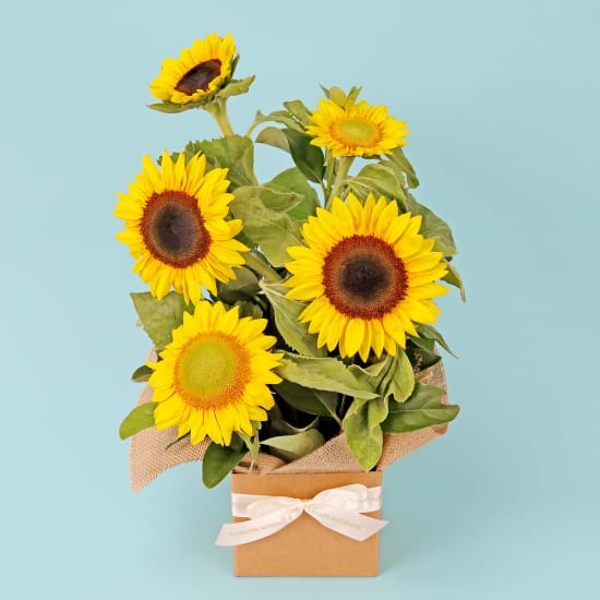 Sunburst Bloom Box  - Standard