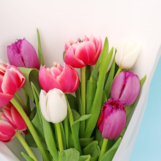 Tulip Bouquet  - Standard