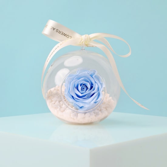 Preserved Blue Rose Orb - Standard