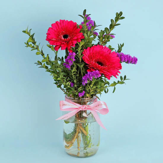 Little Sunshine Pink Vase - Standard