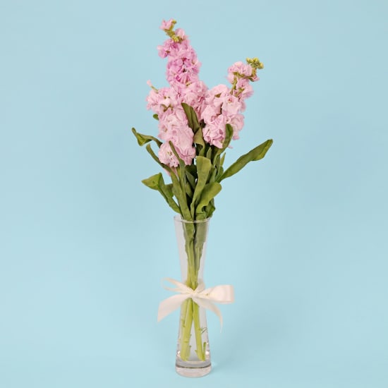 Stock Serenade Bud Vase  - Standard